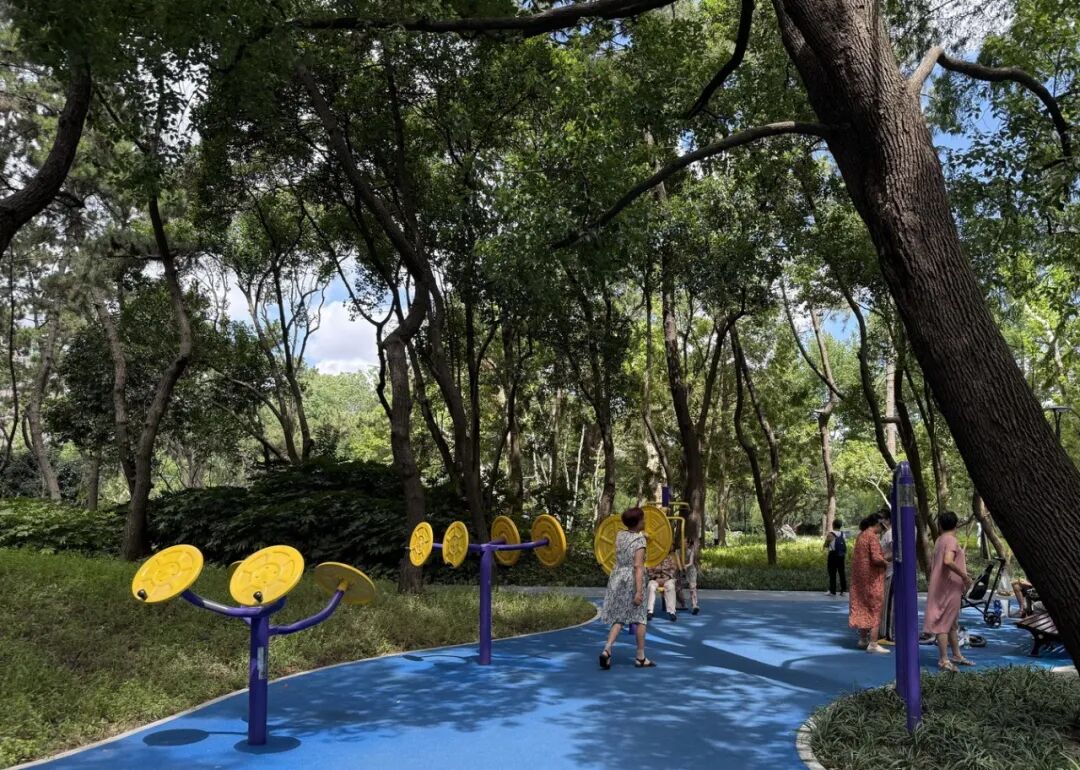 中国园林·理事专栏|“拓”之力量：杨浦公园改造纪实(三)-205