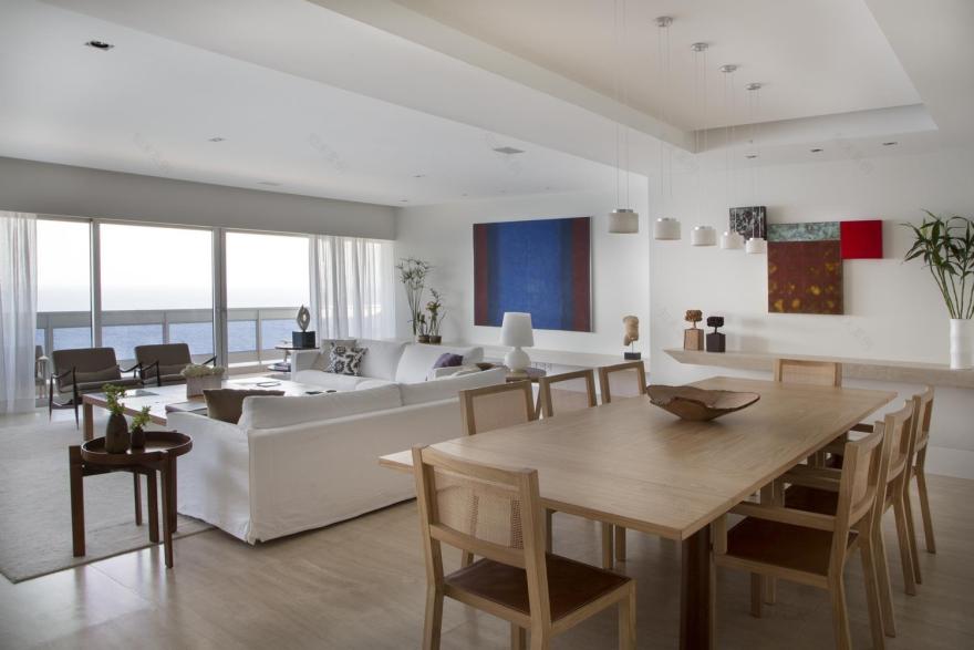 里约热内卢的 RRV 公寓,现代住宅设计的典范-2