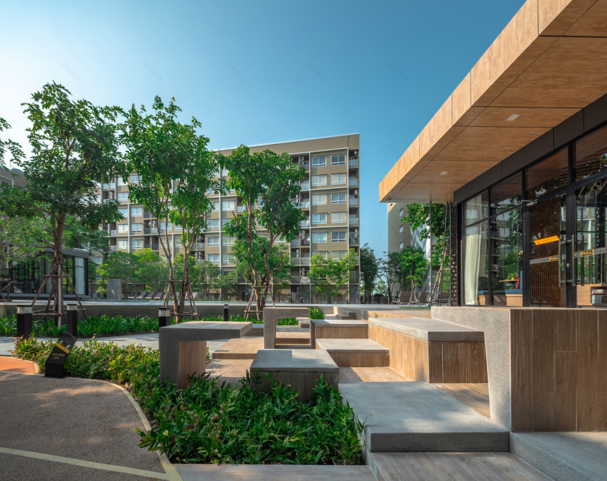 活力大区(Plum Alive)-27