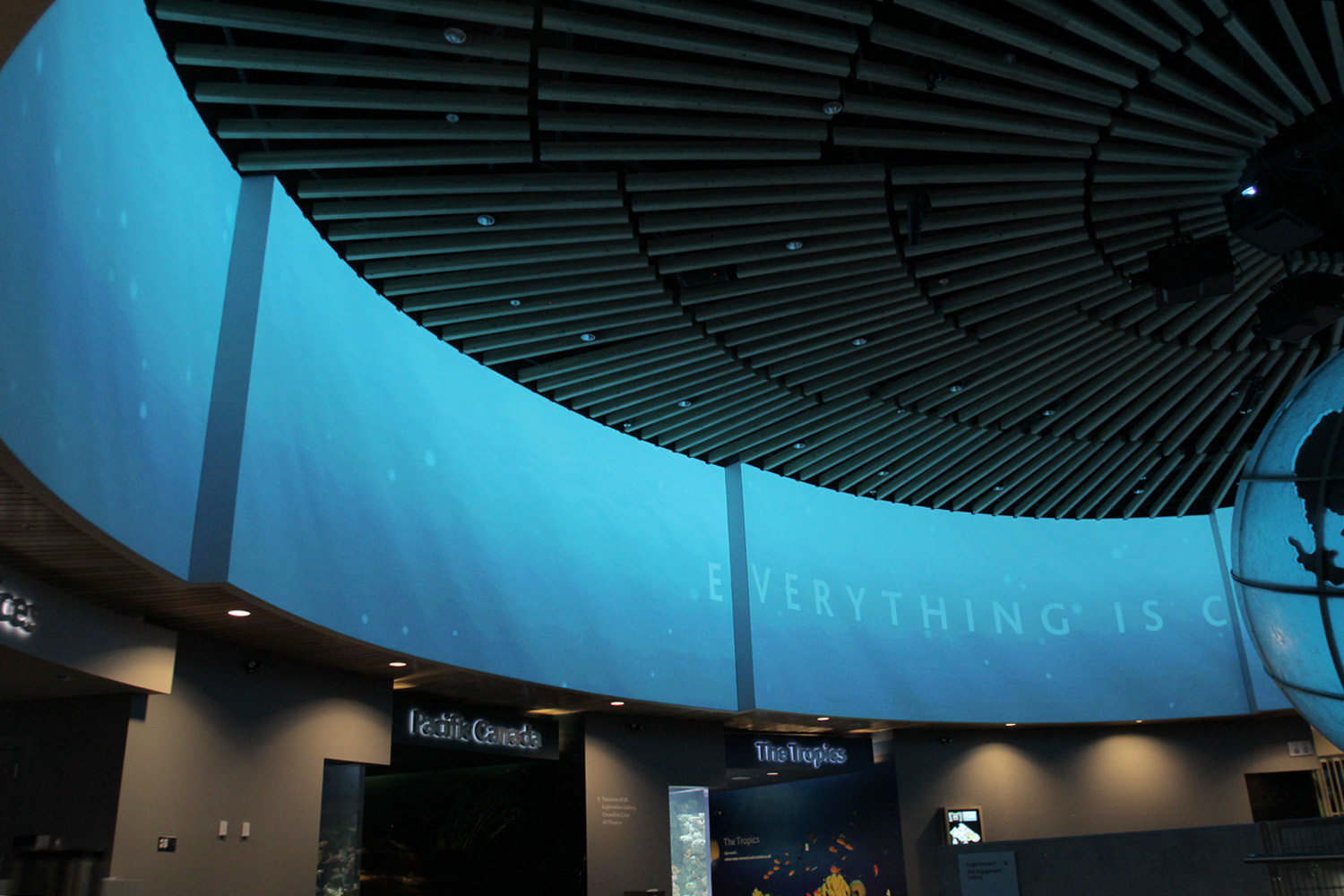 Vancouver Aquarium Immersive Projection-10