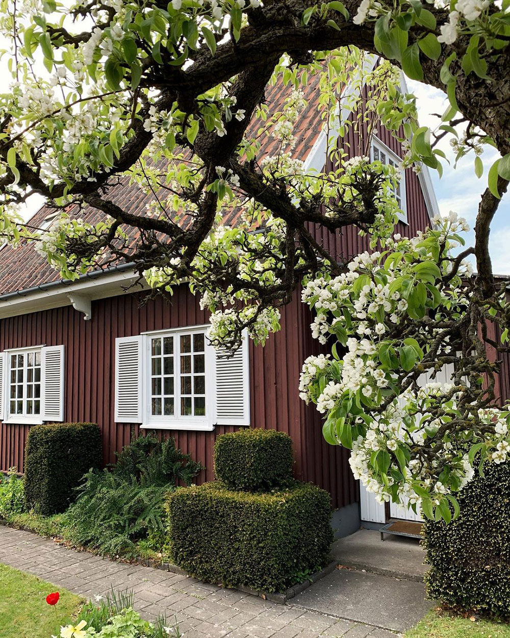 丹麦小屋独特配色，打破传统审美-2