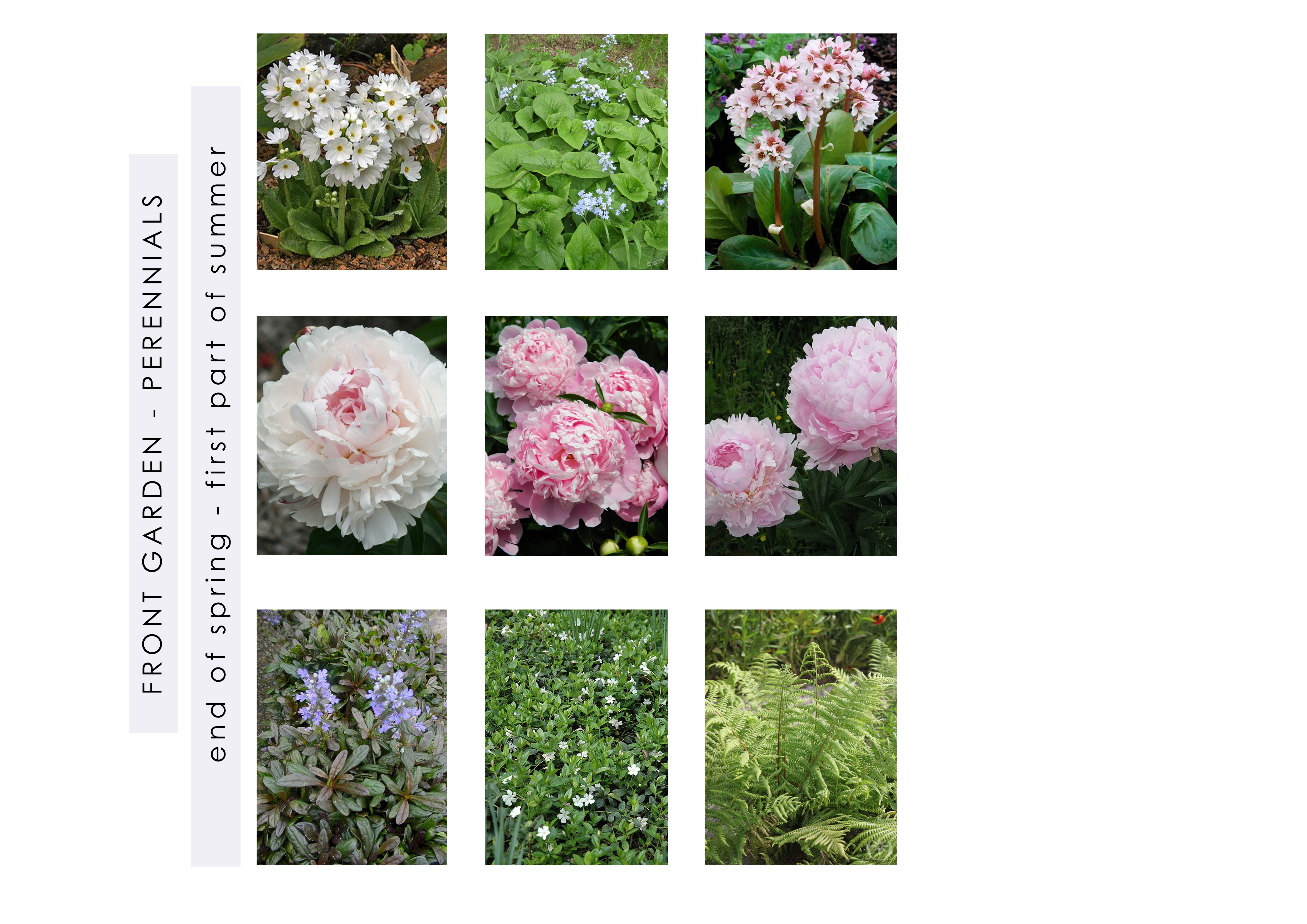 Private garden, 2023-10