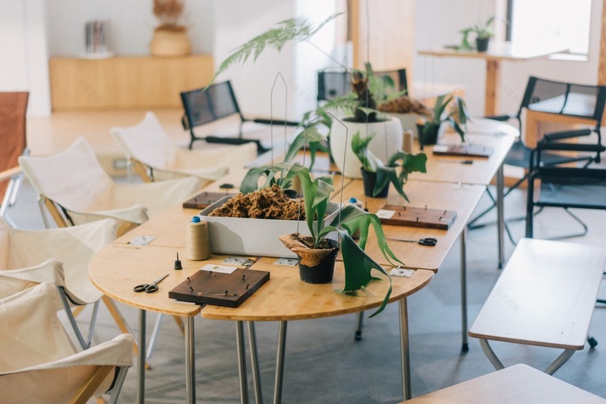 CornerGreen植角|植栽教學・森學【鹿角蕨居家佈置及上板課程】體驗工作坊-8