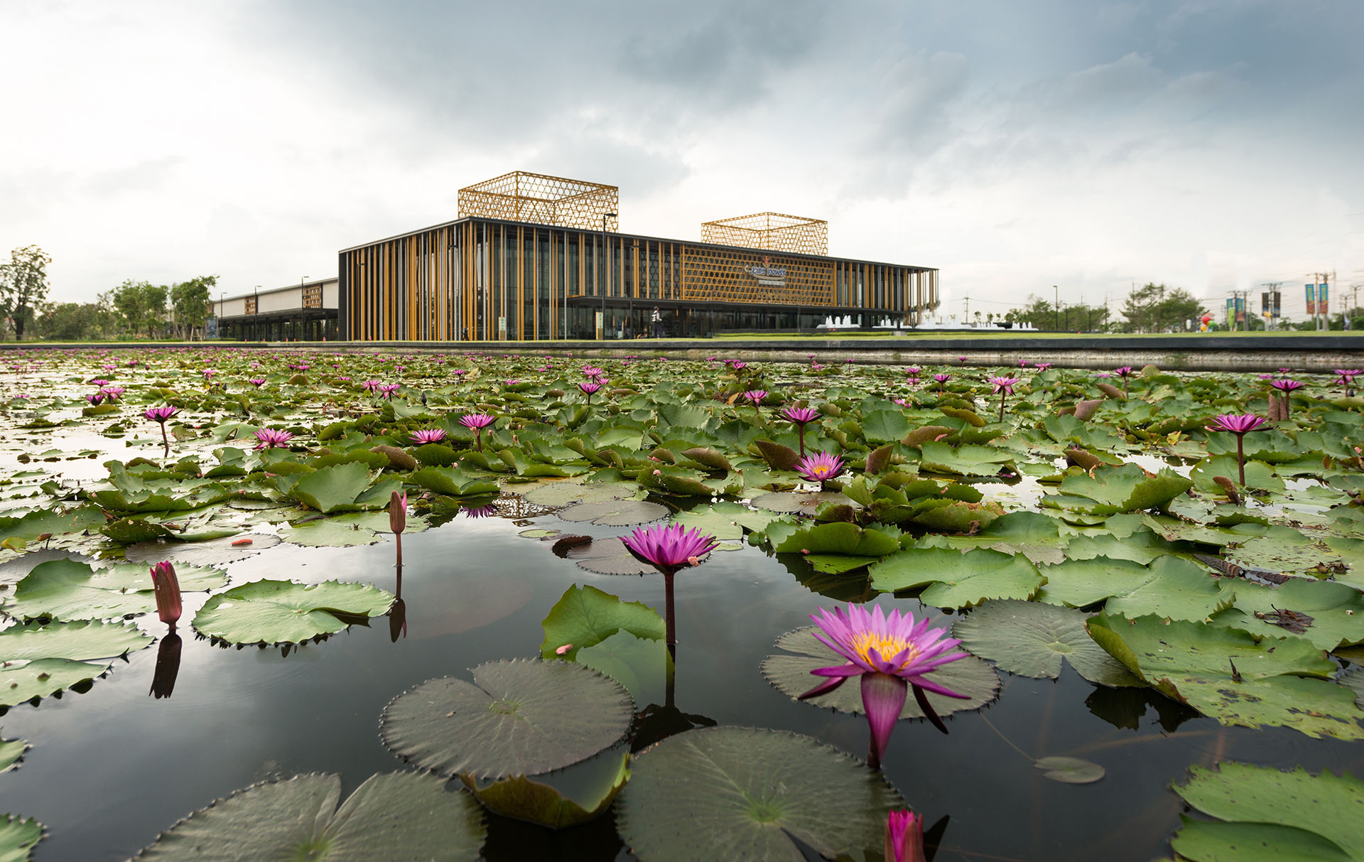 皇权免税店斯里瓦里店（注：King Power通常指泰国王权免税店 ，这里Srivaree不知具体所指，可能是特定门店、酒店或景点名称，暂按音译成斯里瓦里） -13