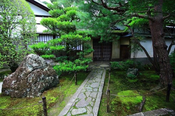 庭院满青苔,极美!-10