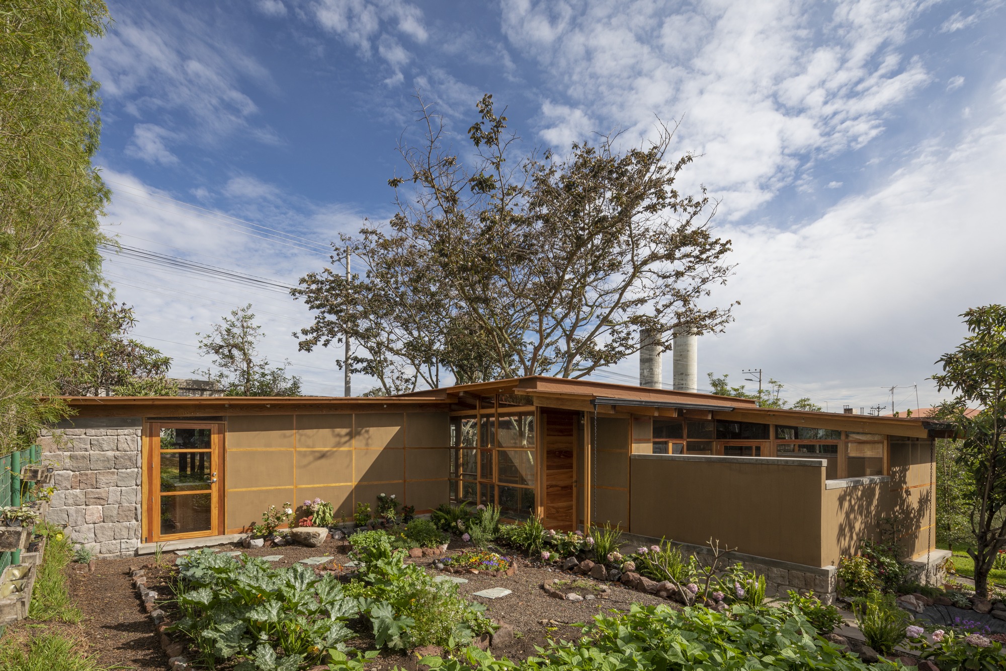 House Among Trees / El Sindicato Arquitectura-14
