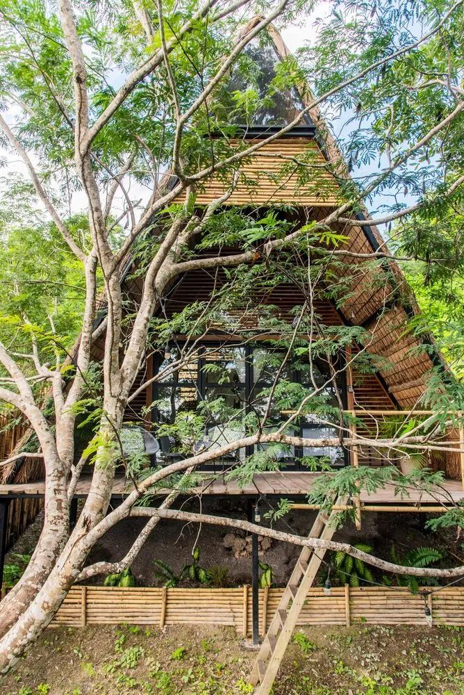 400m²墨西哥 Azul nomeolvides 度假屋 | 生物气候建筑与自然的和谐共生-32