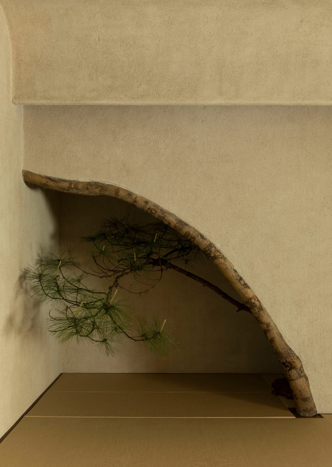 叁参茶空间丨宁波叁参文化-25