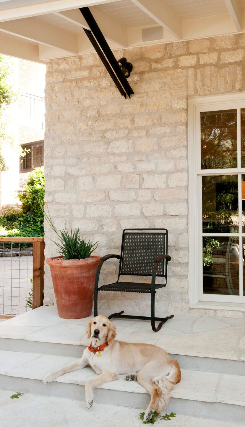 Shepherd 家庭住宅扩建-16