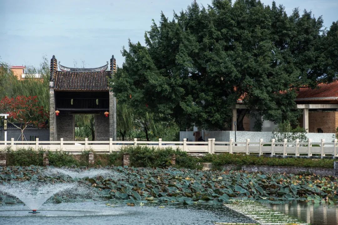 六百年岭南古村，如何振兴？丨广州花都港头村改造提升-68