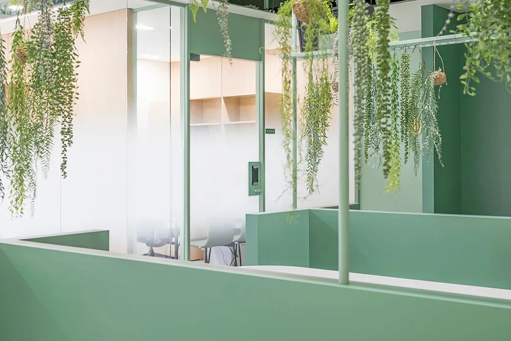 韩国Greengrass办公室丨Plainoddity-22