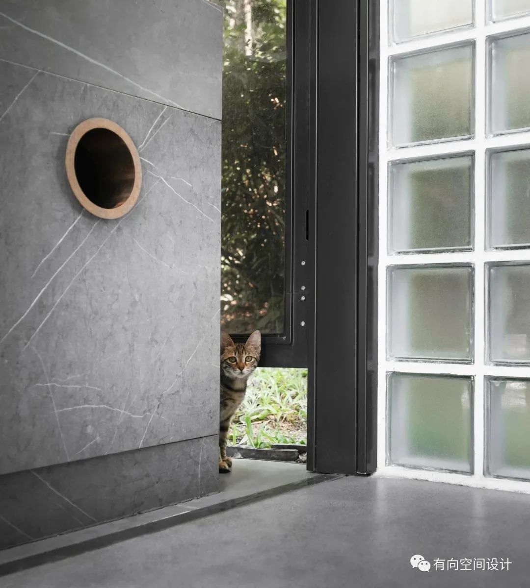 绿色街角的诗意 · 深圳公共厕所革命丨中国深圳丨有向空间设计-1