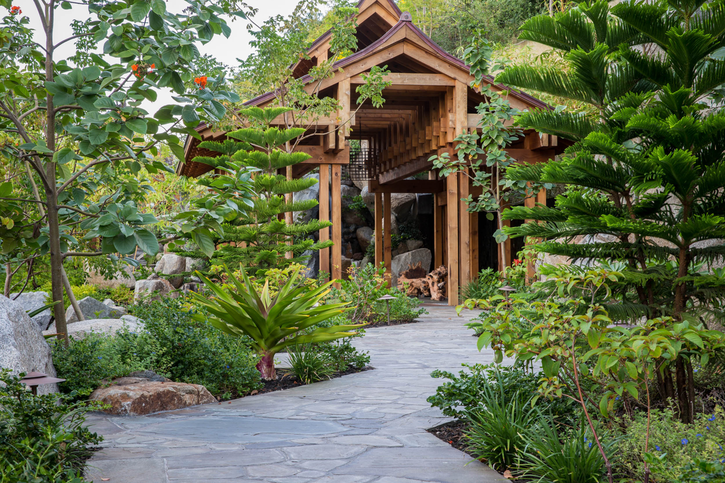 Kurisu International-11