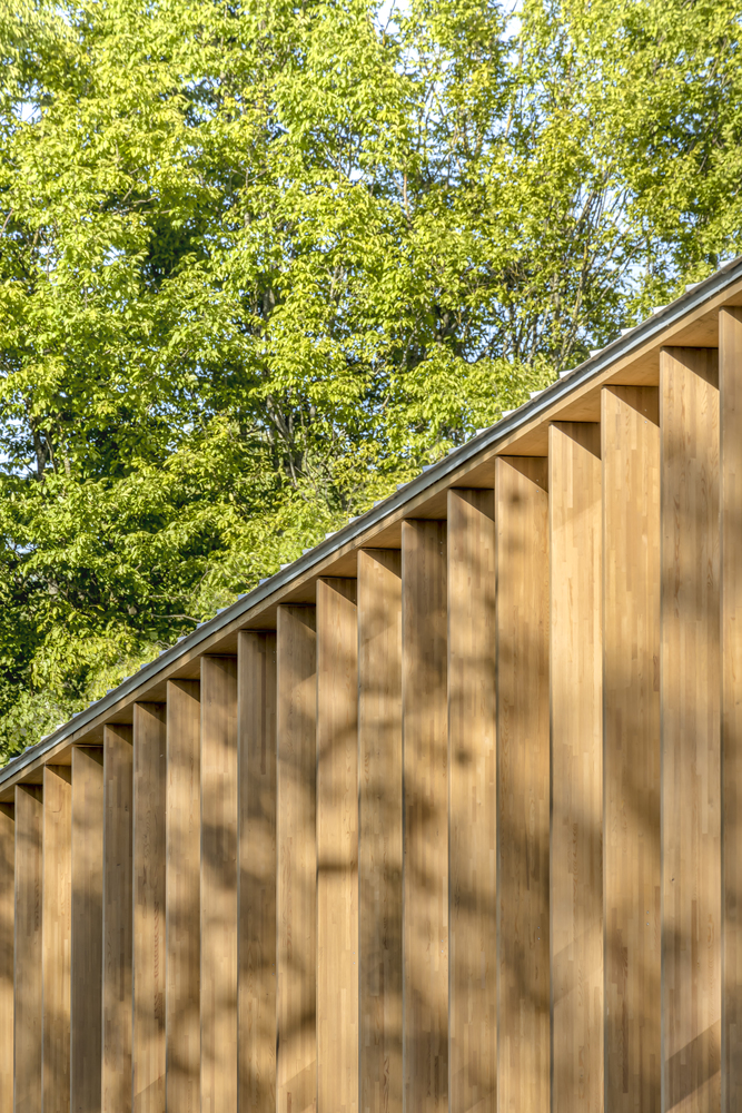 法国 Conflans-Sainte-Honorine 休闲中心与小学扩建项目-35