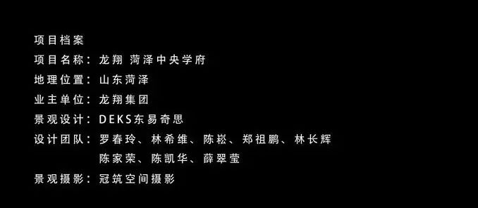 山东龙翔·中央学府丨中国菏泽丨东易奇思-40