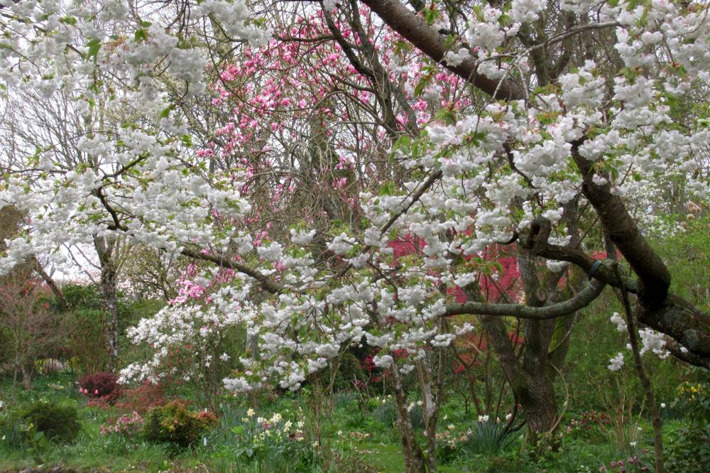 Jardin Botanique de La Petite Rochelle (61)-8