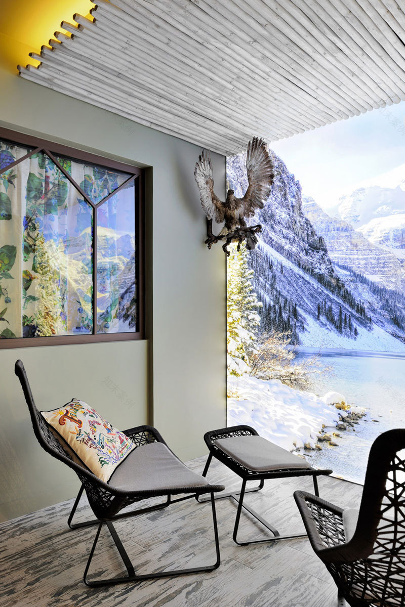 法国阿尔卑斯山租赁小屋的颠覆性设计-19