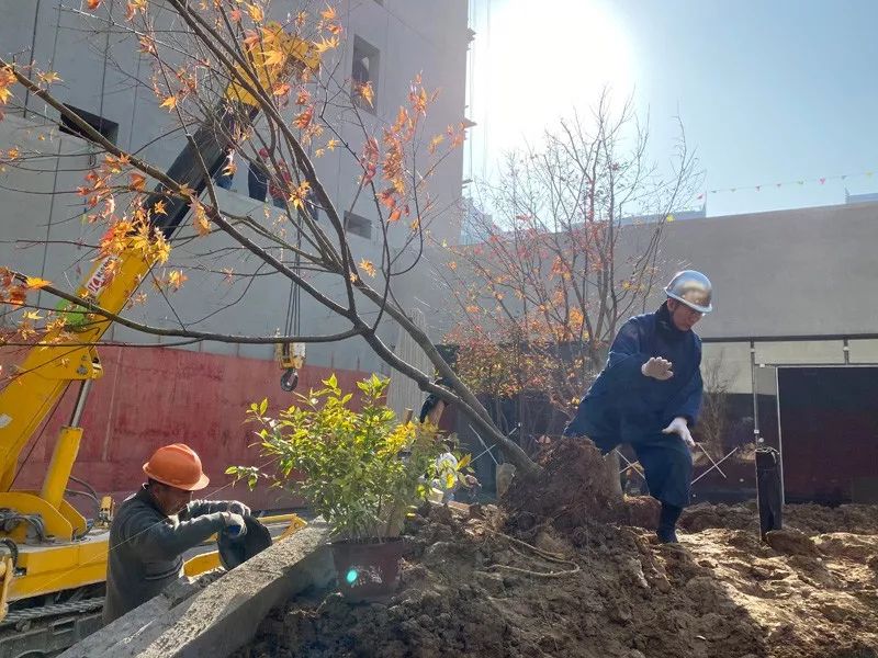 杭州天目里庭园设计丨中国杭州丨日本造园设计事务-31