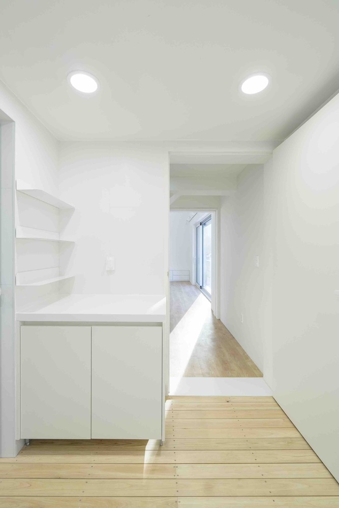 温暖阳光照亮受伤主人生活-46