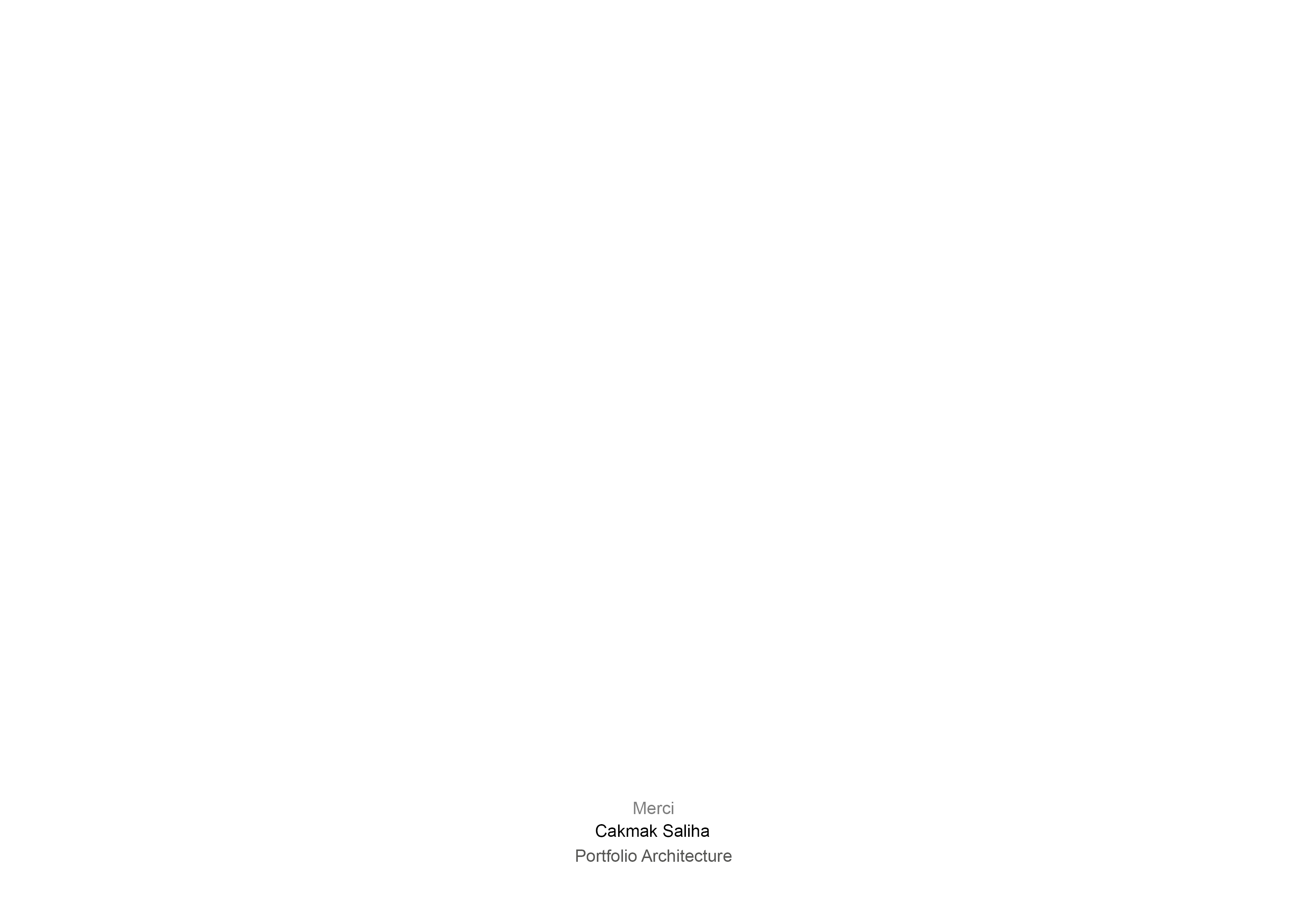 Architecture Portfolio | Cakmak Saliha-32