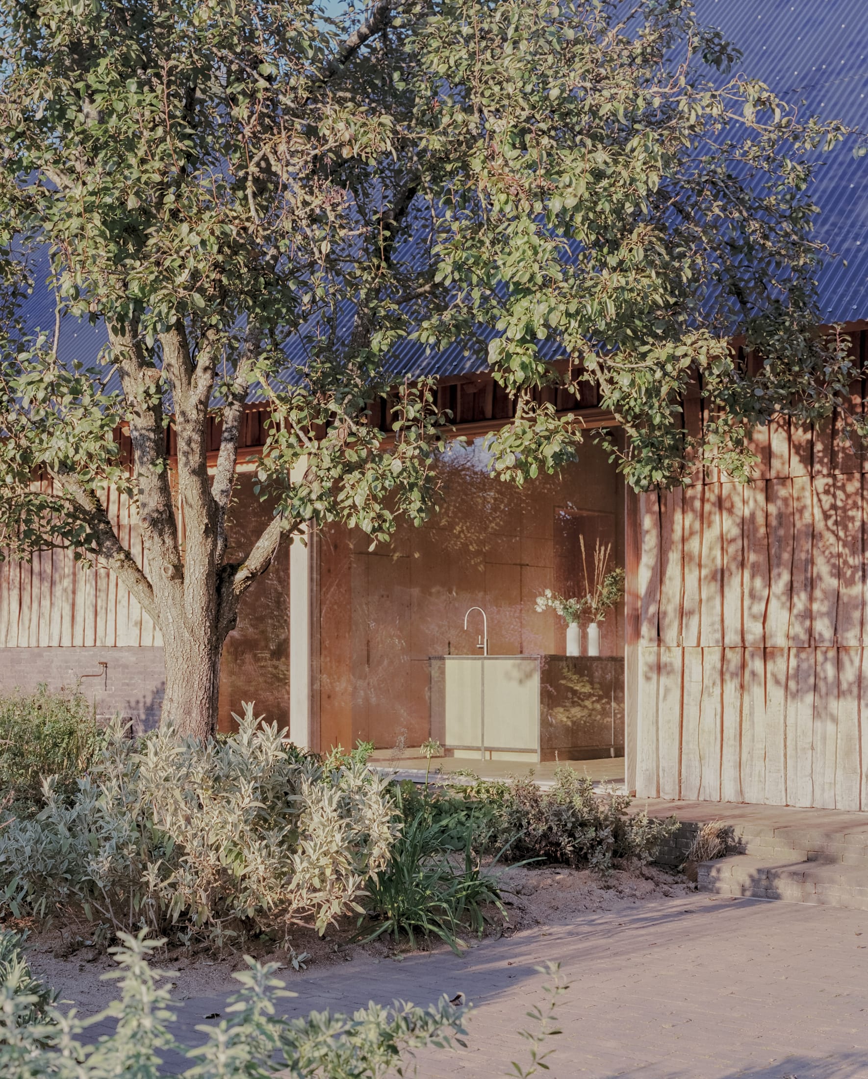 果园丨英国丨Okra-0