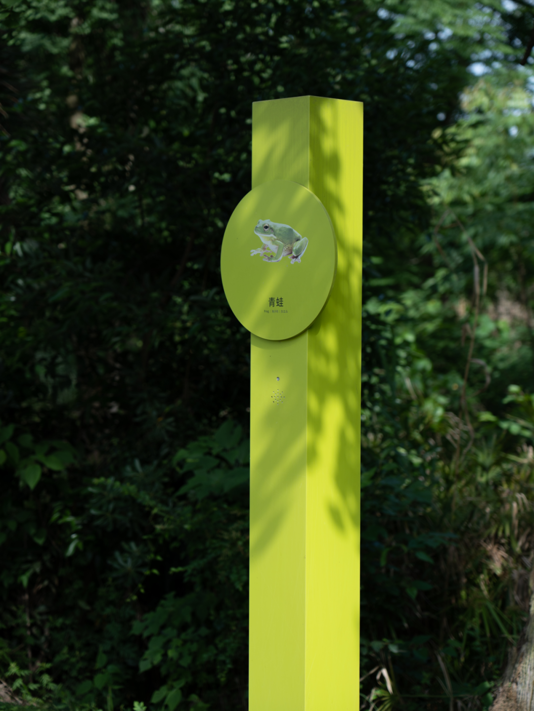 白鹭湾湿地公园自然探索基地丨中国成都丨上海柏熙标识有限公司-69