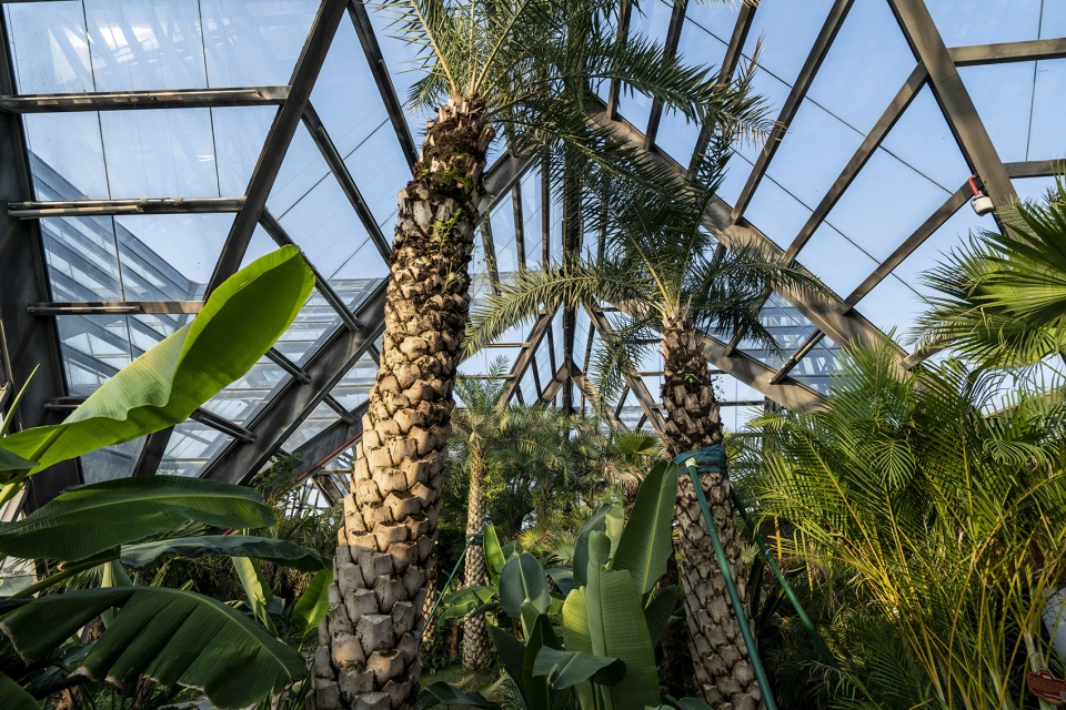 衡水植物园温室展览馆丨中国河北丨空格建筑-93