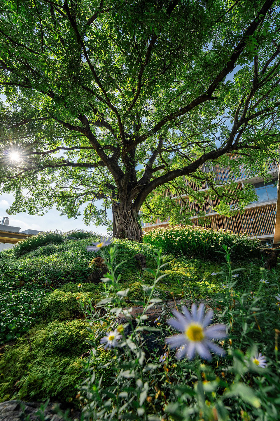 宝华智造产业园丨中国佛山丨成都无囿景观设计有限公司,佛山至岸园林-25