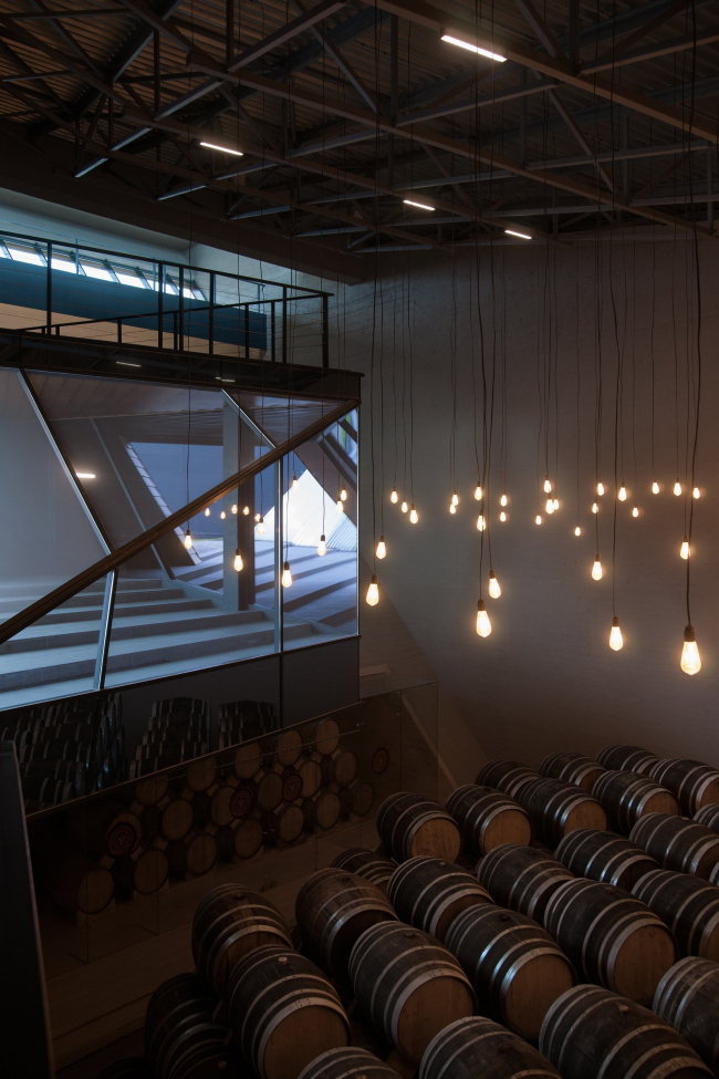 博物馆  干邑厂“联盟1892”贮藏库丨俄罗斯加里宁格勒丨建筑工作室“图腾,纸张”（TOTEMENT,PAPER）-53