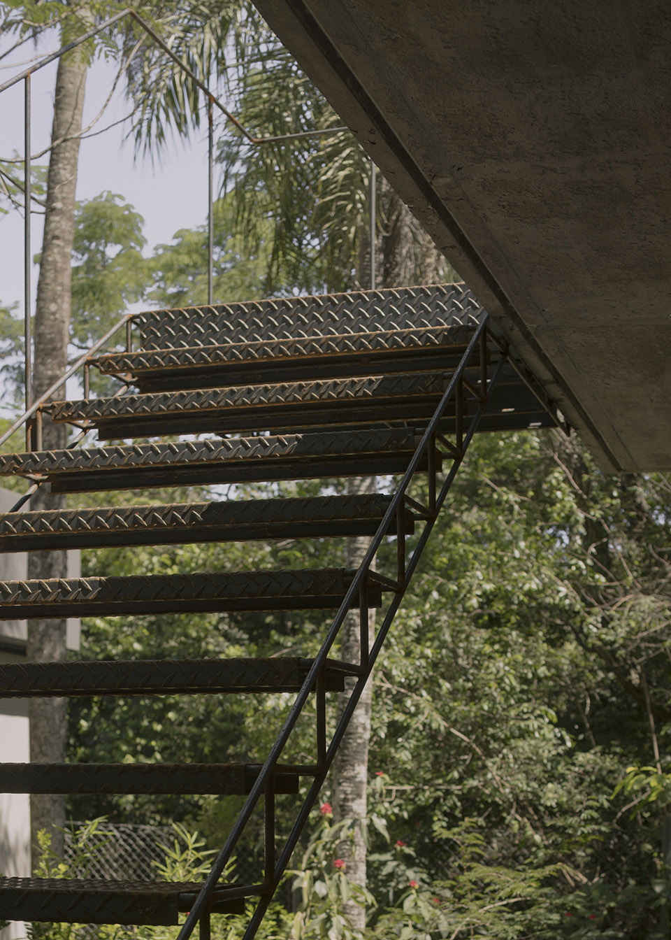 屋中森林丨巴拉圭丨Equipo de Arquitectura-86