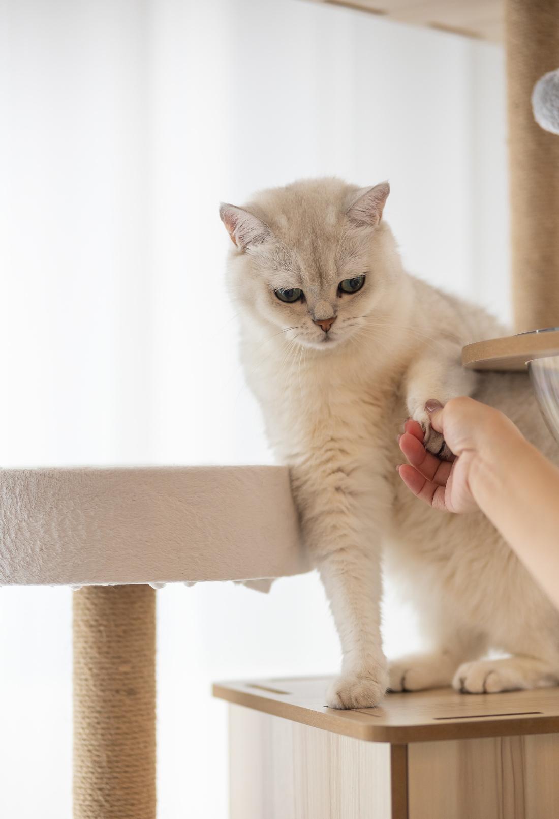 现代简约复式案例-19