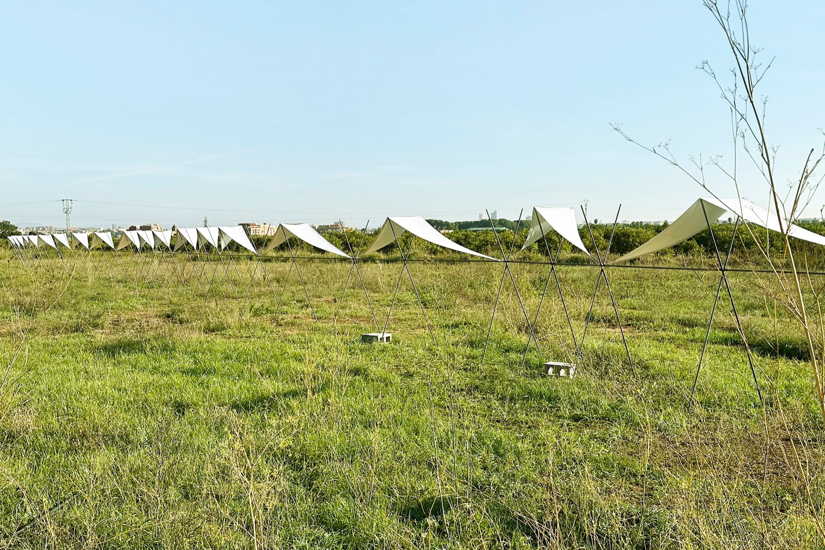 地平线展馆丨厄瓜多尔丨Eletres Studio-81