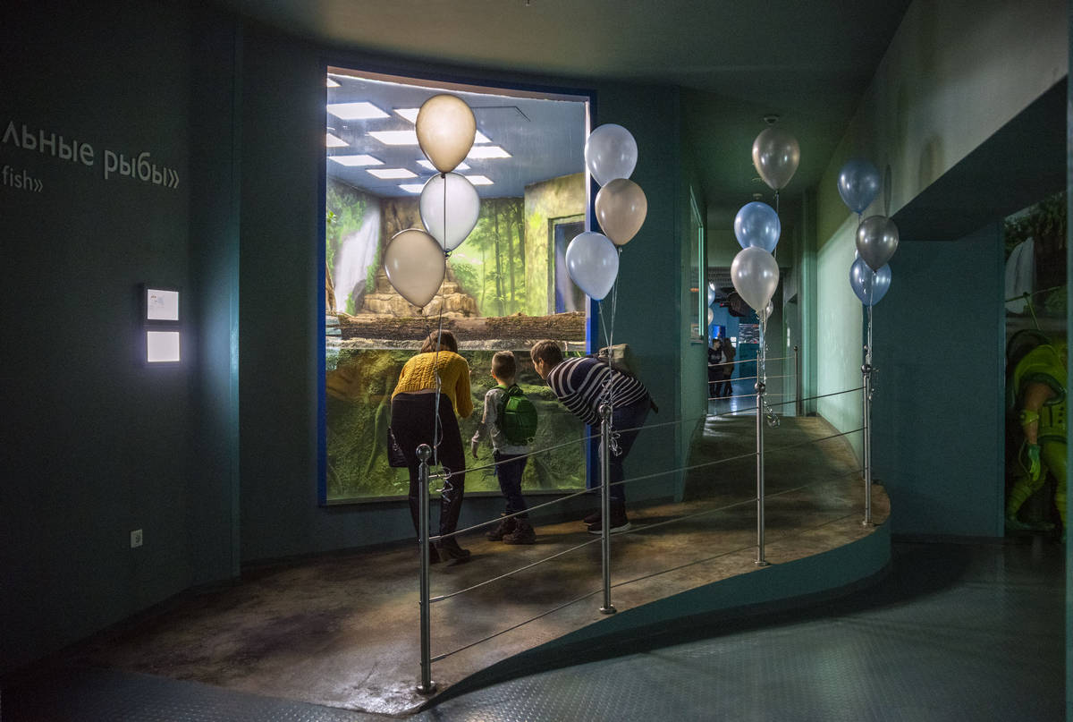 莫斯科水族馆水獭和海豹围栏及展区更新丨俄罗斯莫斯科-17