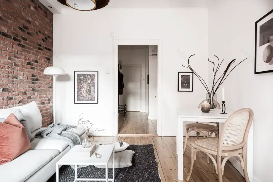 瑞典 29 平米小户型公寓的装饰艺术-5