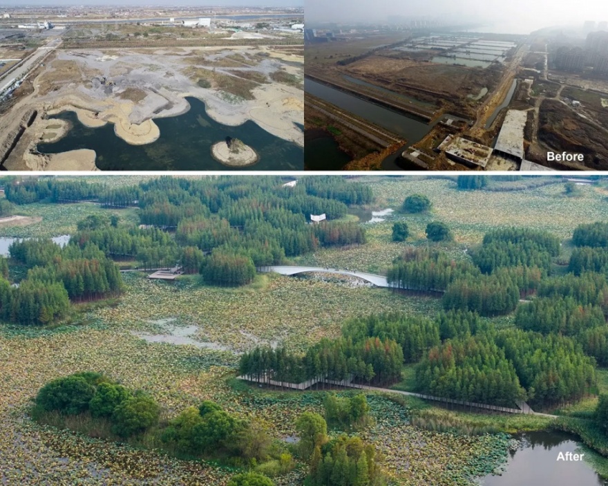 漂浮的森林:南昌市鱼尾洲公园丨中国南昌丨土人设计-25