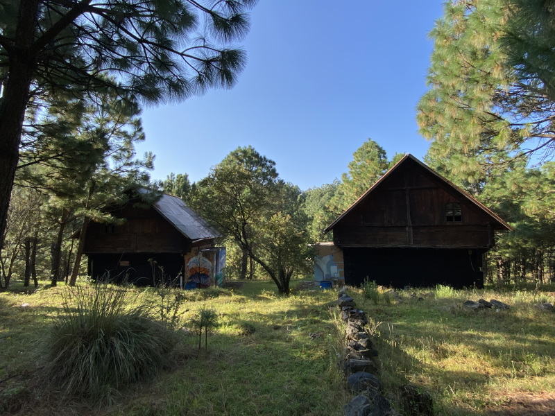 丨墨西哥丨未明确提及-40