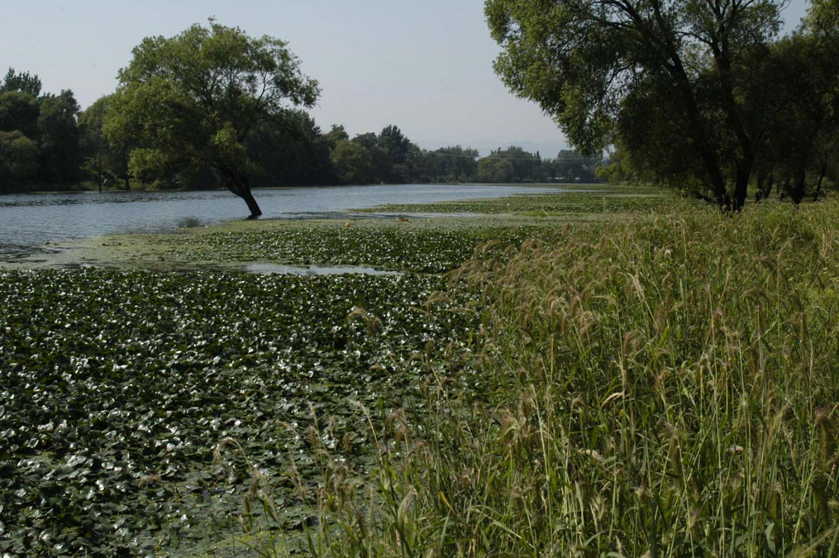 秦皇岛红丝带公园丨中国河北丨土人景观设计公司-22