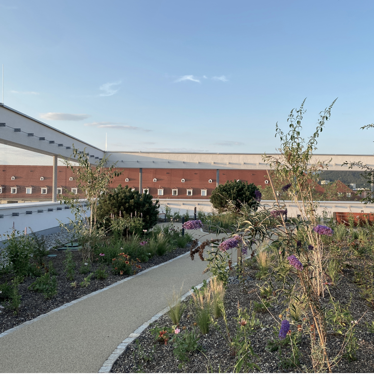 弗莱堡市新建的父母住宅丨GermanyFreiburg丨H|G Architekten und Stadtplaner-21