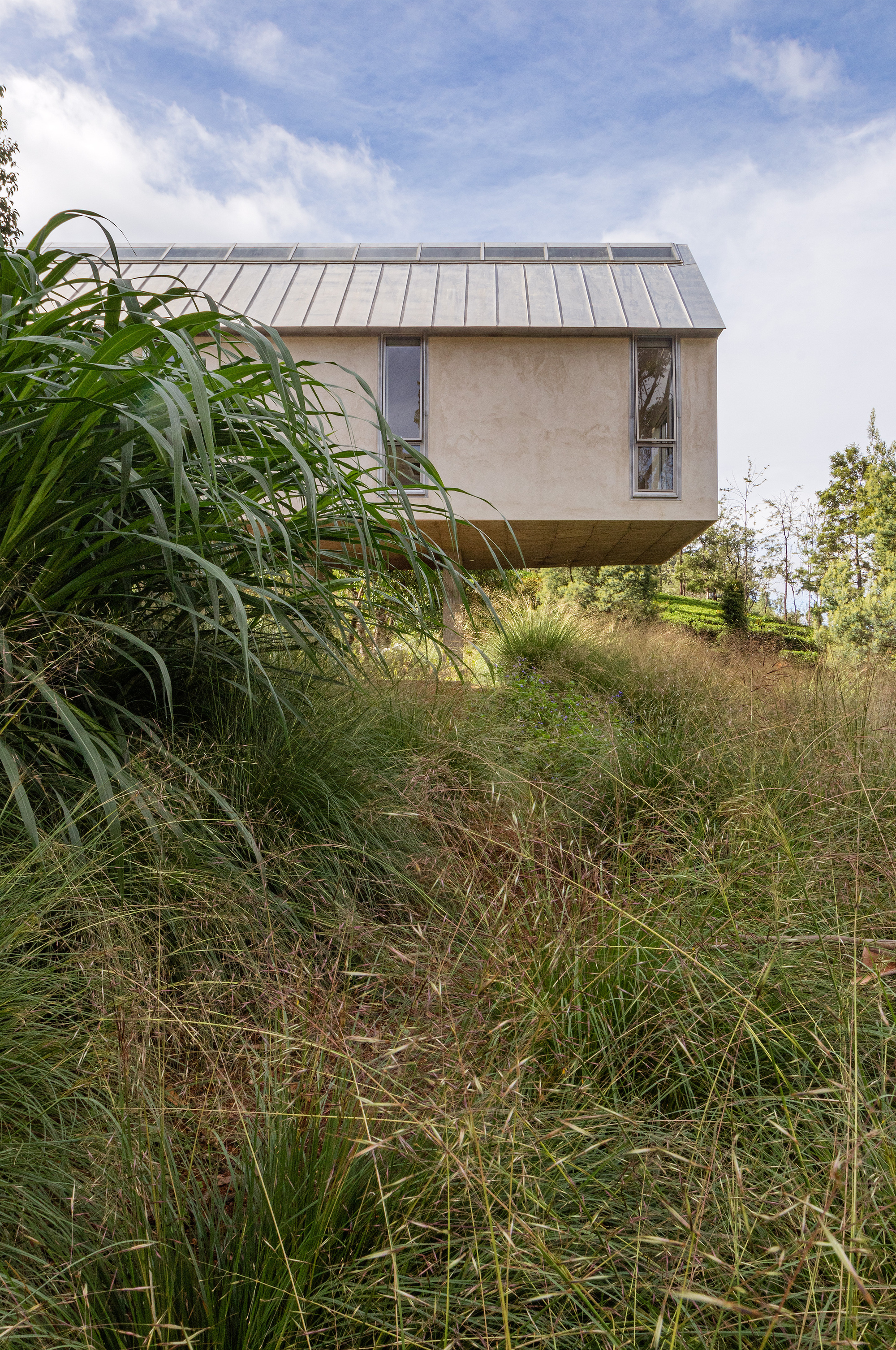 尼尔吉里的野草屋丨印度丨Mathew and Ghosh Architects-35