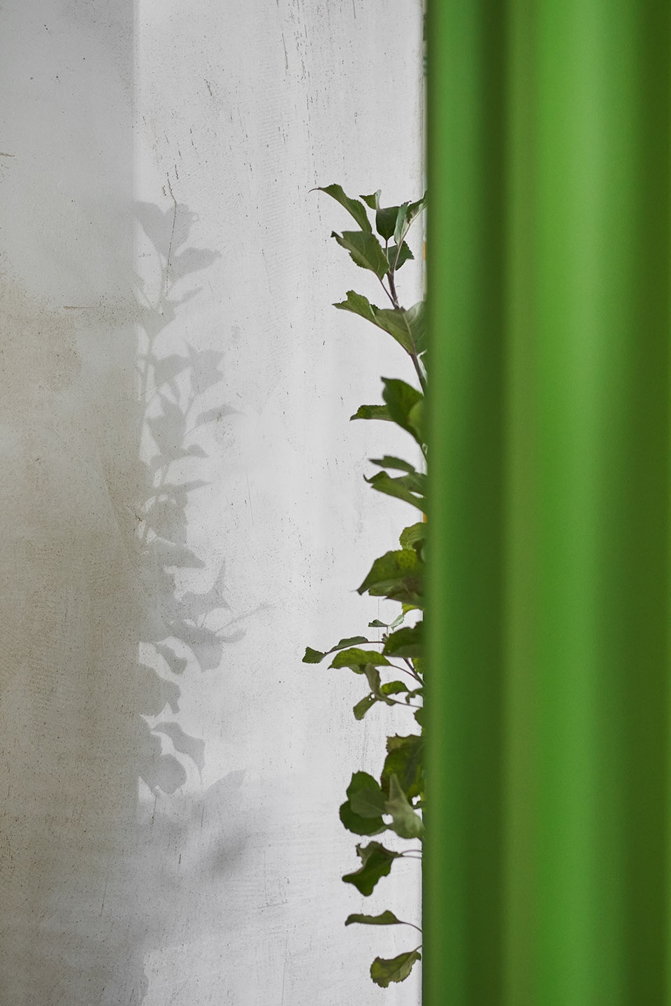 圣彼得堡 ANIMALS 快闪餐厅丨俄罗斯圣彼得堡丨DA bureau-25