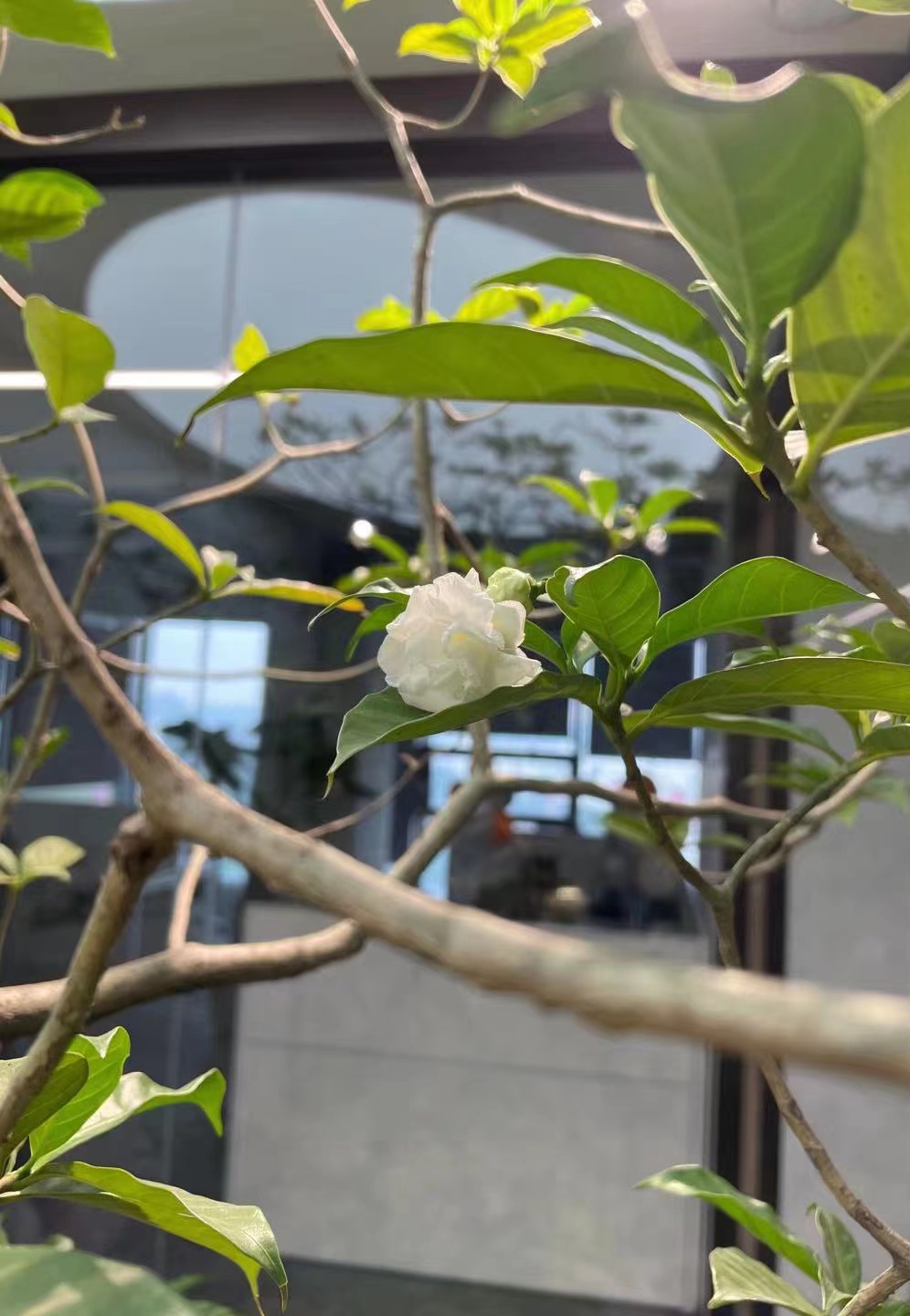 归谷科技园丨中国广州丨Gensler-93