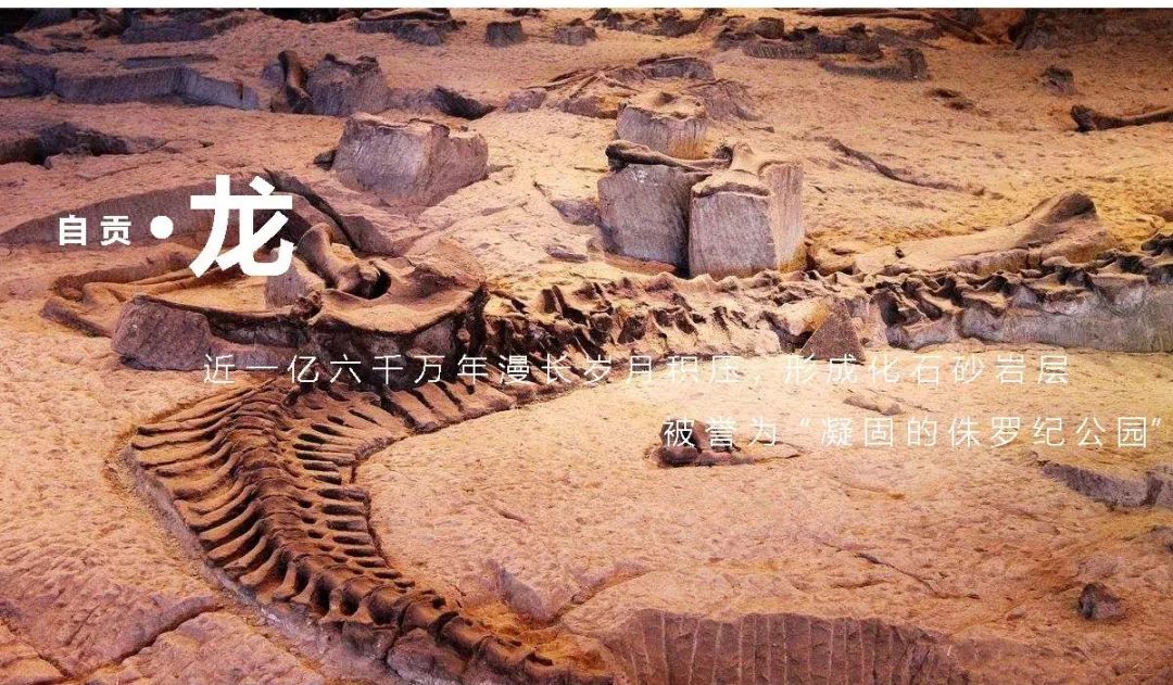 盐运九曲，八里秦淮 | 绿地西南 • 自贡-15