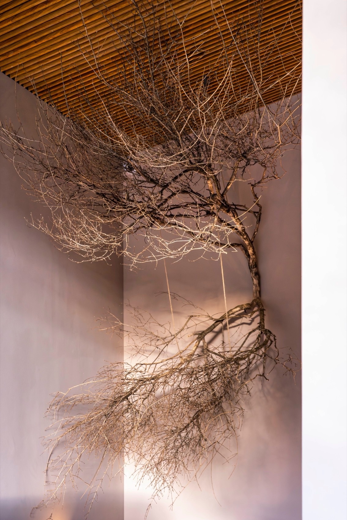 云南丽江厚苑丨中国丽江丨李晓东工作室-73