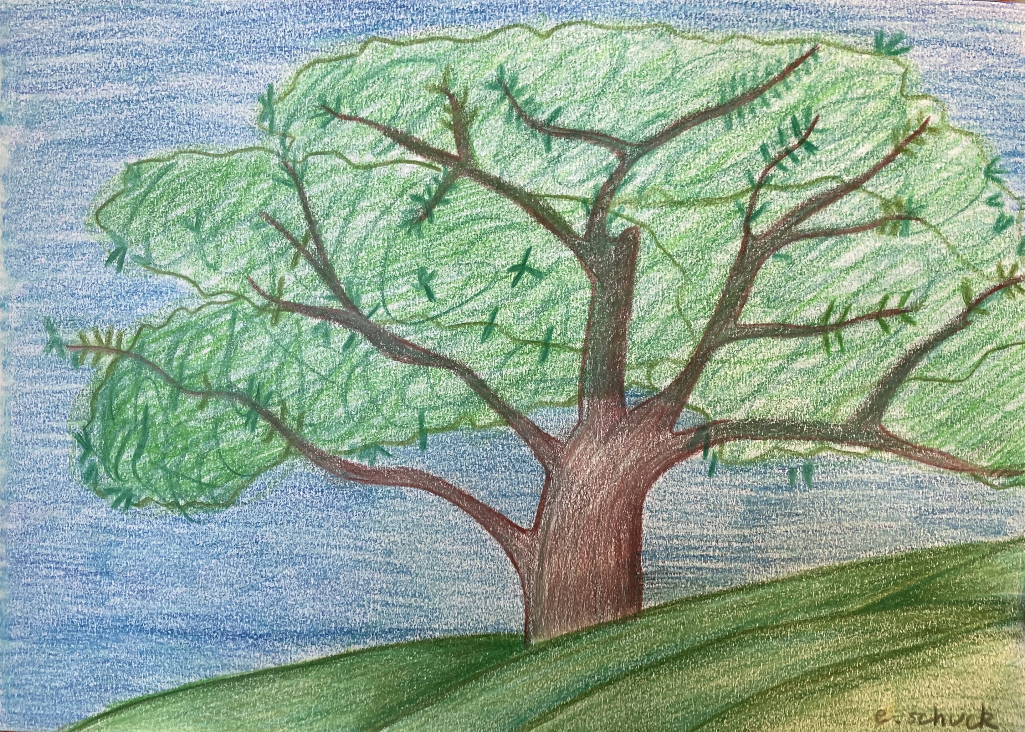 Essais aux Polychromos sur carnet A4...-9