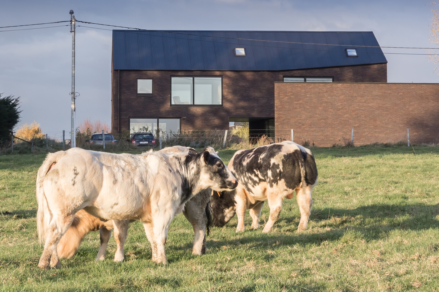 比利时小村庄共享家园的巧妙设计-40