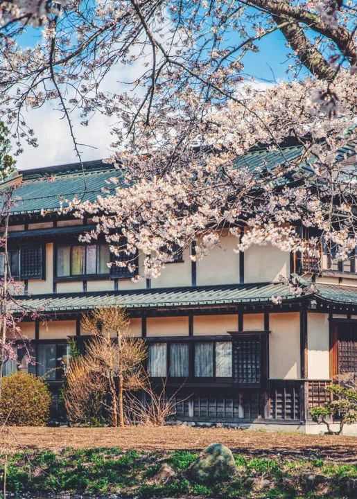 野奢秘境，探寻春日浪漫-15