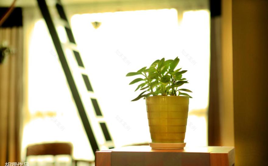 广州雅居乐 188 平方自然北欧风家居设计-12