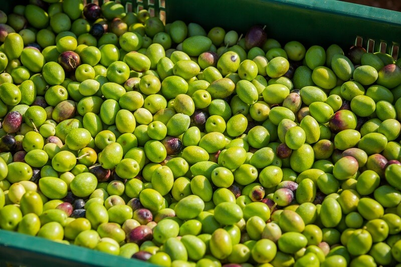 丨克罗地亚丨克罗地亚建筑师Nikola Bašić-39