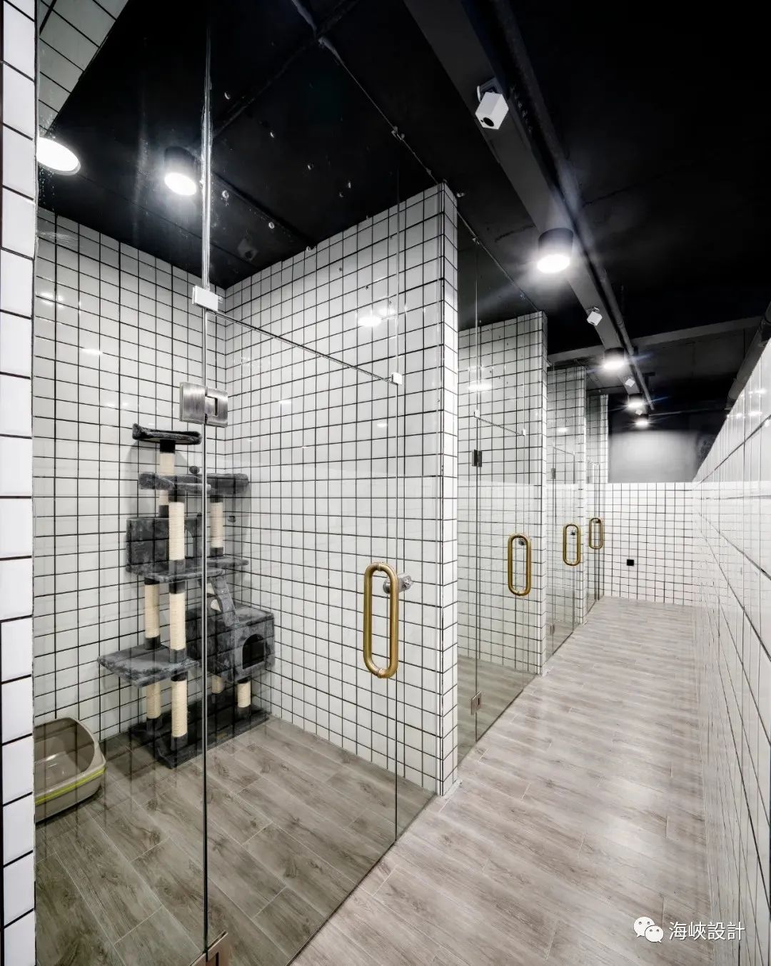 福州卡夫·House 五星級寵物店,設計演繹浪漫與精致-37