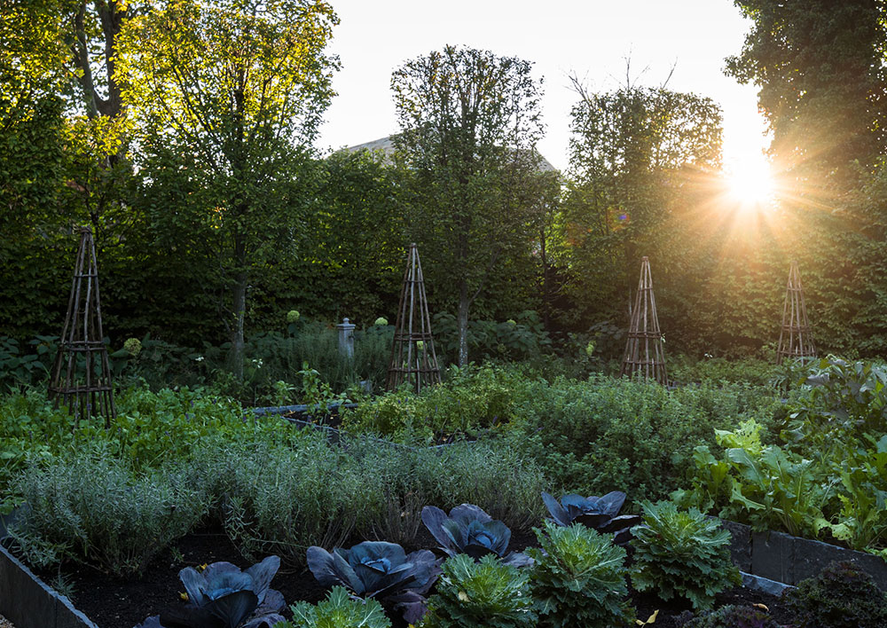 奇妙的传统长岛家园-23